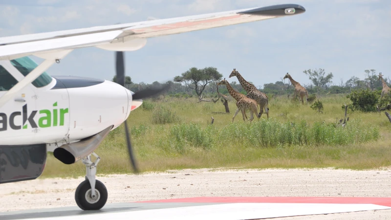 Die Delta-Airline aus Botswana