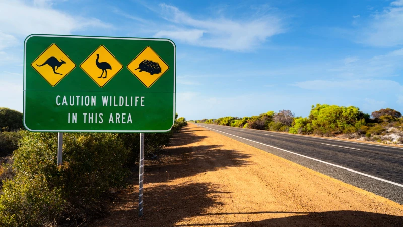 MTU Maintenance Australia: Ein Jahrzehnt Erfolg