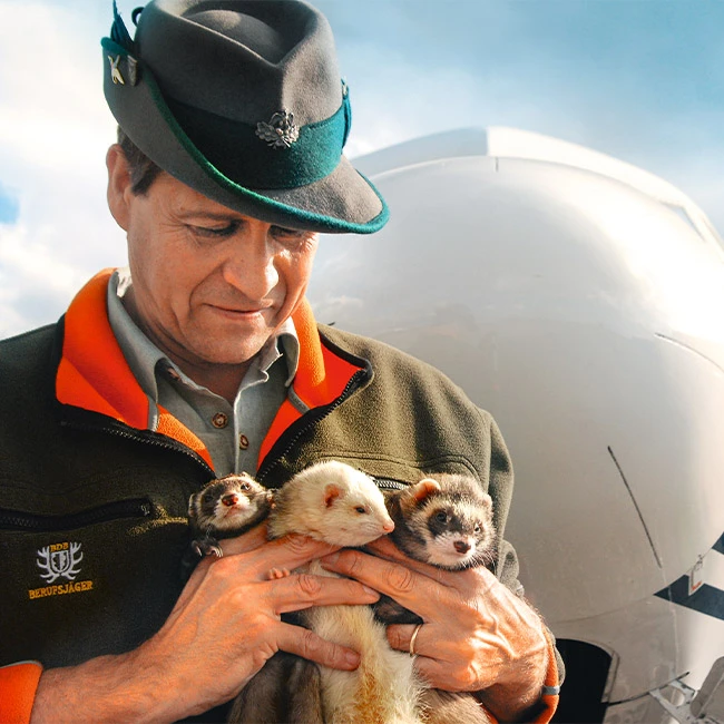 2_ulf-muuss_frettchen_flughafen_koeln_mp_650x650