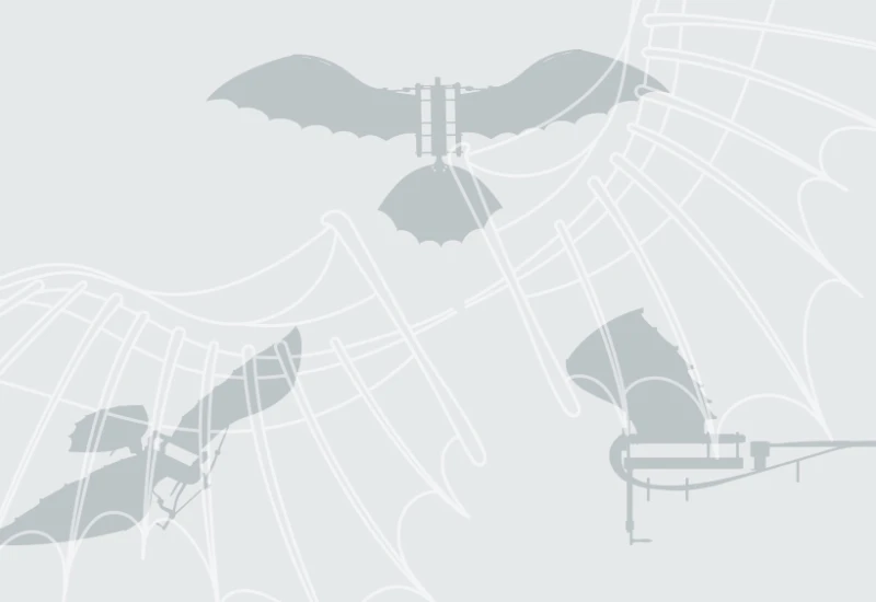 Natur als Vorbild: Bionik  für leisere und effi­zientere Triebwerke